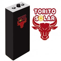 Elemento modelo Torito solar 580Ah/2V C100